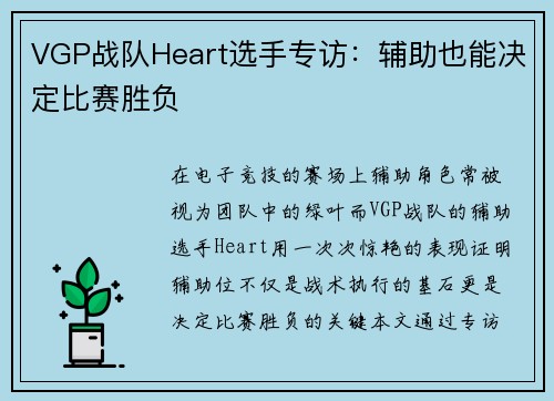 VGP战队Heart选手专访：辅助也能决定比赛胜负